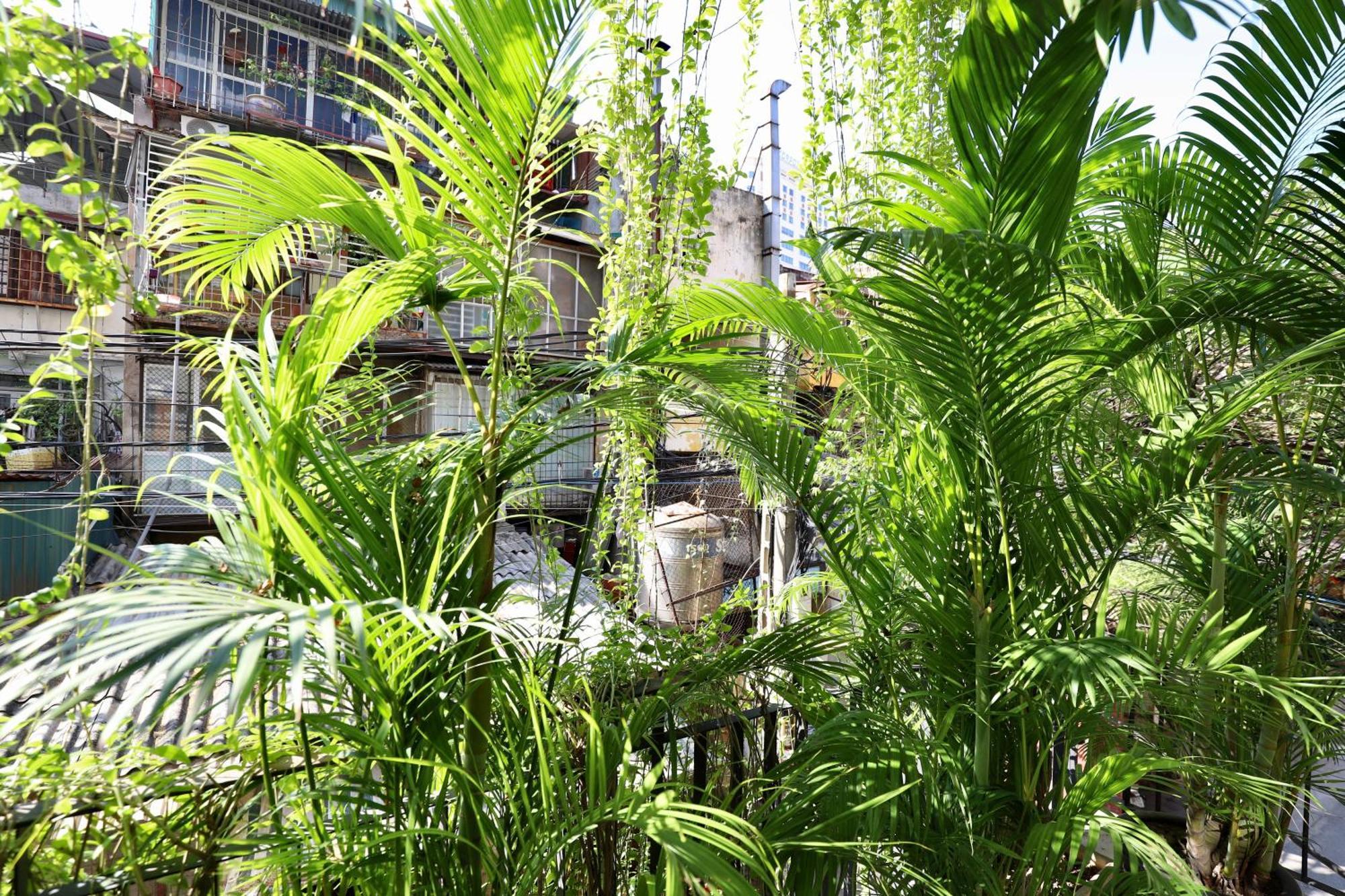 The Garden House Apartment Hanoi Exterior photo